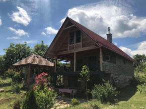 Vila Stancevic